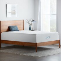 Lucid 14 inch plush online memory foam mattress